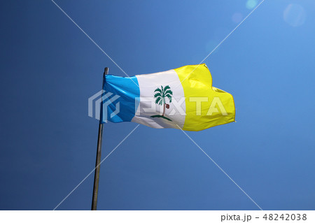 ペナン島　ペナン州の旗 48242038