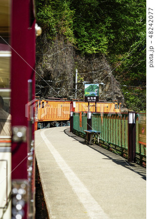 後曳橋を渡るトロッコ電車 48242077