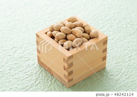 大豆　炒り豆 48242114