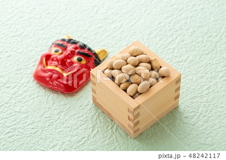 大豆 炒り豆 大豆 炒り豆 48242117