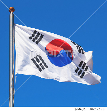 South Korea flag over blue sky 48242422