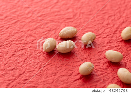 大豆 炒り豆 大豆 炒り豆 48242798