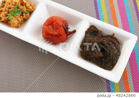おいしそうな日本料理 48242860