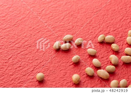 大豆　炒り豆 48242919