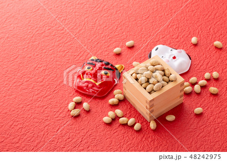 大豆　炒り豆 48242975