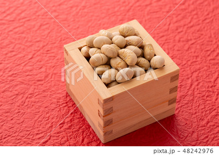 大豆　炒り豆 48242976