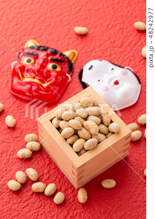 大豆　炒り豆 48242977