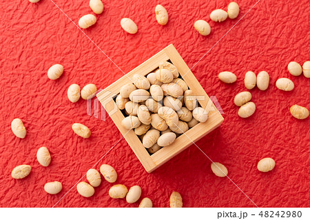 大豆　炒り豆 48242980