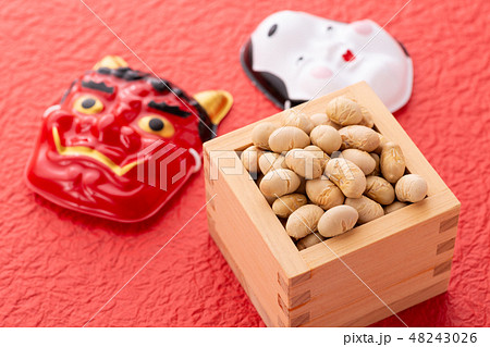 大豆 炒り豆 大豆 炒り豆 48243026