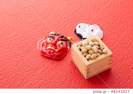 大豆　炒り豆 48243027