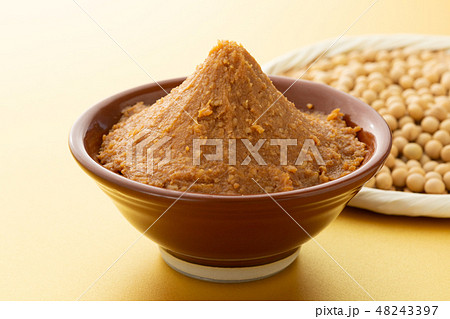 味噌 味噌 48243397