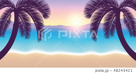summer vacation paradise beach with palms at sunset summer vacation paradise beach with palms at sunset 48243421