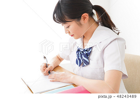 勉強をする学生 勉強をする学生 48243489