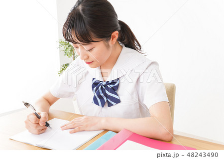 勉強をする学生 48243490