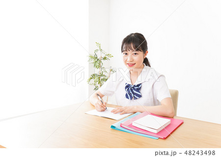 勉強をする学生 勉強をする学生 48243498