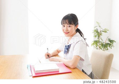勉強をする学生 勉強をする学生 48243500