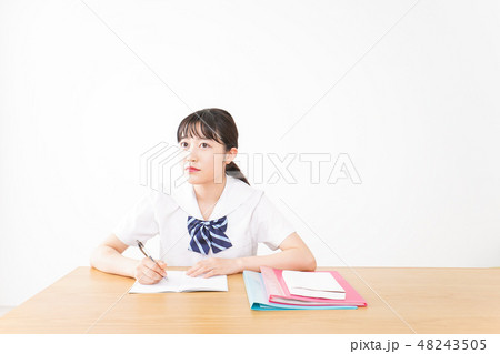 勉強をする学生 勉強をする学生 48243505