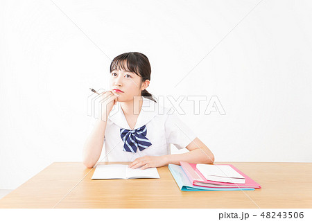勉強をする学生 勉強をする学生 48243506
