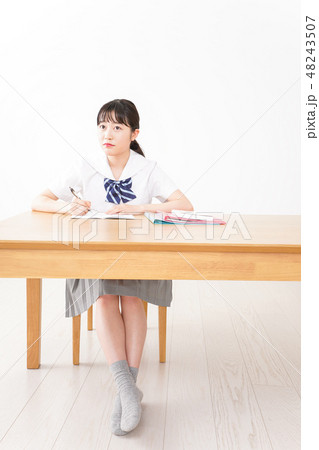 勉強をする学生 勉強をする学生 48243507