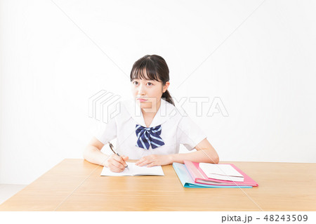 勉強をする学生 48243509