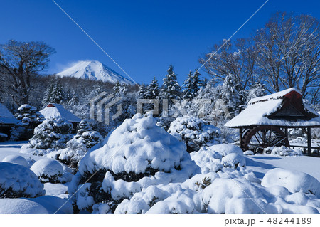 忍野八海　八海庭園　彦兵衛屋敷 48244189