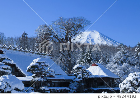 忍野八海　八海庭園　彦兵衛屋敷 48244192