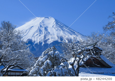 忍野八海 八海庭園 彦兵衛屋敷 忍野八海 八海庭園 彦兵衛屋敷 48244200