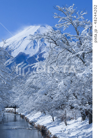 富士山冬景色　忍野八海 48244202