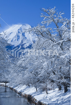 富士山冬景色　忍野八海 48244204