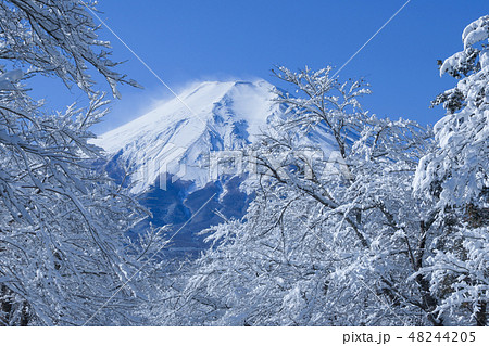 富士山冬景色 忍野八海の写真素材 4445