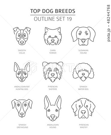 Top dog breeds. Pet outline collection. Vector 48244768