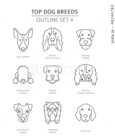 Top dog breeds. Pet outline collection. Vector Top dog breeds. Pet outline collection. Vector 48244783