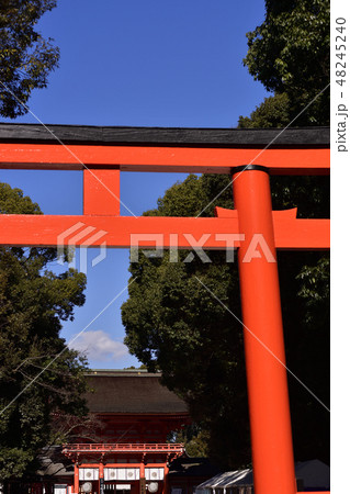 下鴨神社 南口鳥居 下鴨神社 南口鳥居 48245240