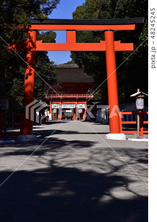 下鴨神社 南口鳥居 下鴨神社 南口鳥居 48245245