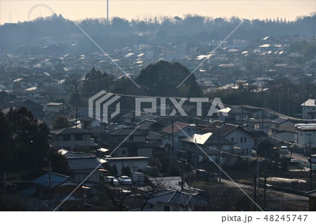 朝日に照らされた狭山丘陵の住宅街 朝日に照らされた狭山丘陵の住宅街 48245747