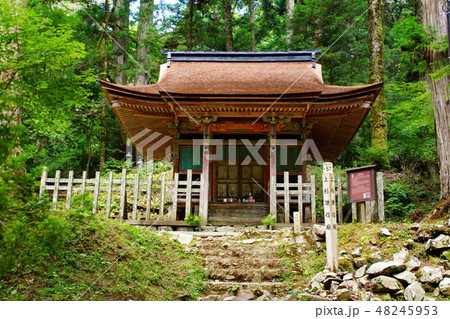 高野山 奥の院 上杉謙信 廟 ( 和歌山県 伊都郡 高野町 ) 高野山 奥の院 上杉謙信 廟 ( 和歌山県 伊都郡 高野町 ) 48245953