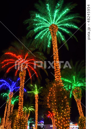 フローランテ宮崎 48245954