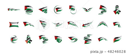 Palestine flag, vector illustration on a white background Palestine flag, vector illustration on a white background 48246028