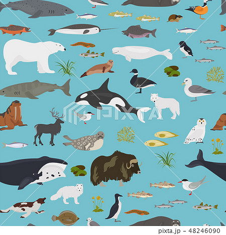 Ice sheet and polar desert biome Ice sheet and polar desert biome 48246090