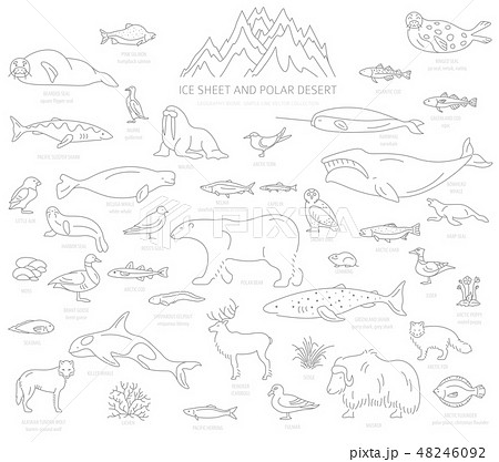 Ice sheet and polar desert biome 48246092