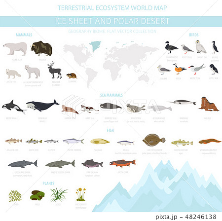 Ice sheet and polar desert biome. ecosystem  48246138