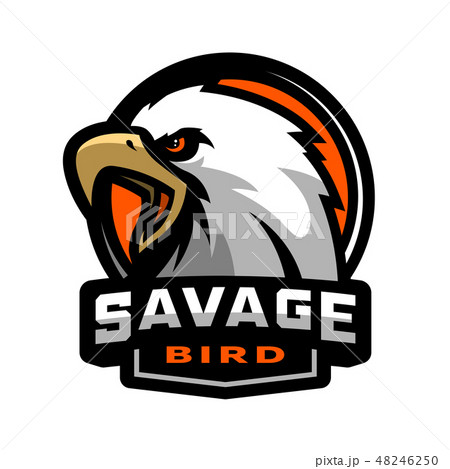 Savage bird. Eagle sports logo. Savage bird. Eagle sports logo. 48246250