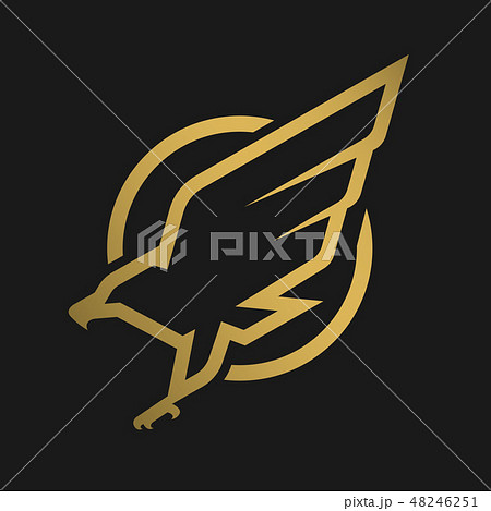 Eagle logo, emblem on a dark background. 48246251