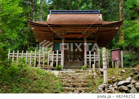 高野山 奥の院 上杉謙信 廟 ( 和歌山県 伊都郡 高野町 ) 高野山 奥の院 上杉謙信 廟 ( 和歌山県 伊都郡 高野町 ) 48246252