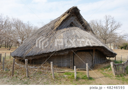竪穴住居 竪穴住居 48246593
