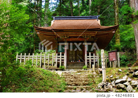 高野山　奥の院　上杉謙信 廟　（ 和歌山県 伊都郡 高野町 ） 48246801