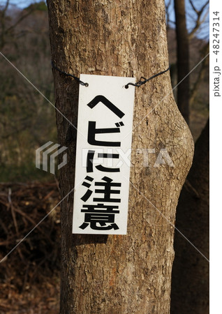 ヘビに注意 48247314