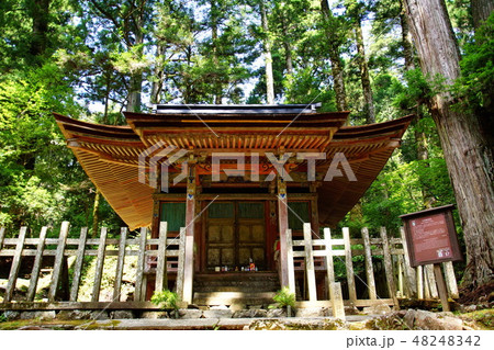 高野山 奥の院 上杉謙信 廟 ( 和歌山県 伊都郡 高野町 ) 高野山 奥の院 上杉謙信 廟 ( 和歌山県 伊都郡 高野町 ) 48248342