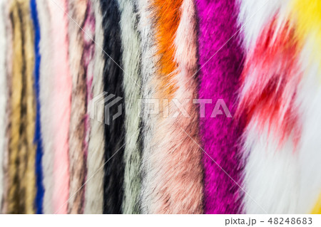 samples of different color of fur fabrics color background samples of different color of fur fabrics color background 48248683