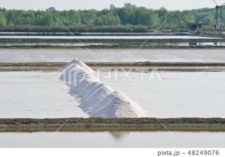 タイ王国の塩田（Salt Farm in Thailand） 48249076
